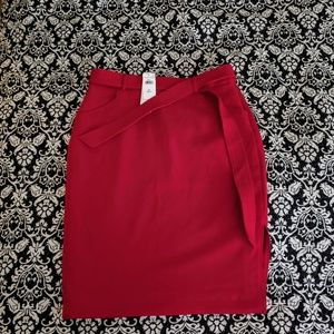 Banana Republic Skirt